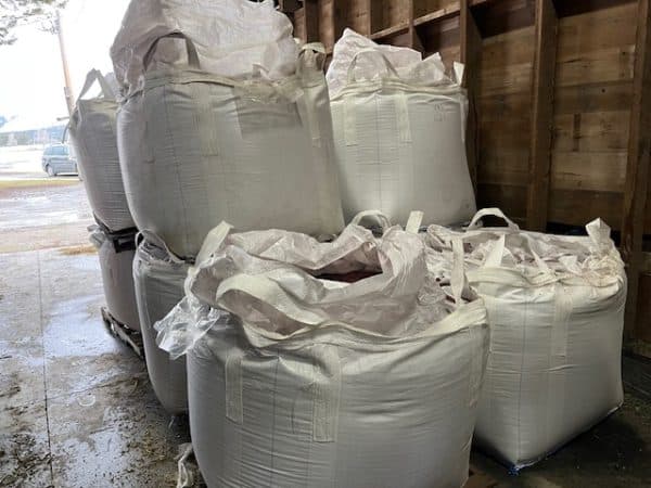 LENTIL SEED - TREATED - Image 3