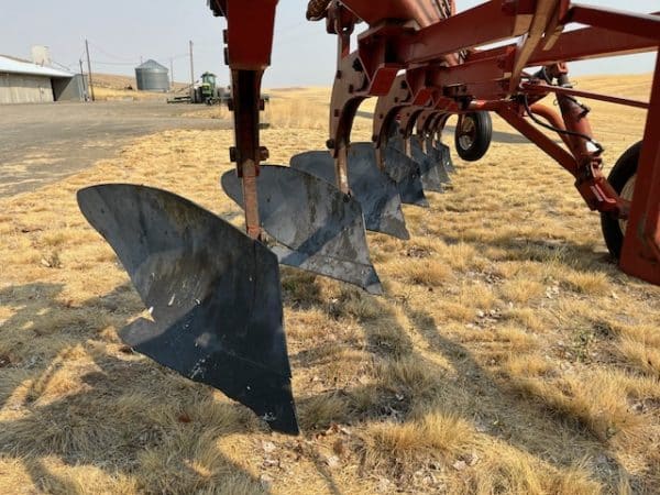 WIL-RICH 7 BOTTOM PLOW - Image 6