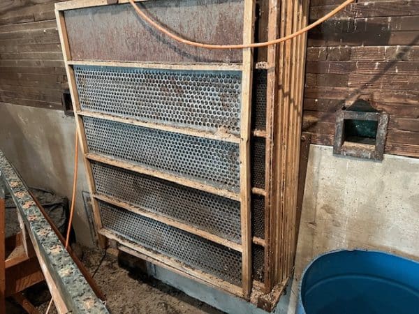 SEED CLEANING PLANT - Image 4