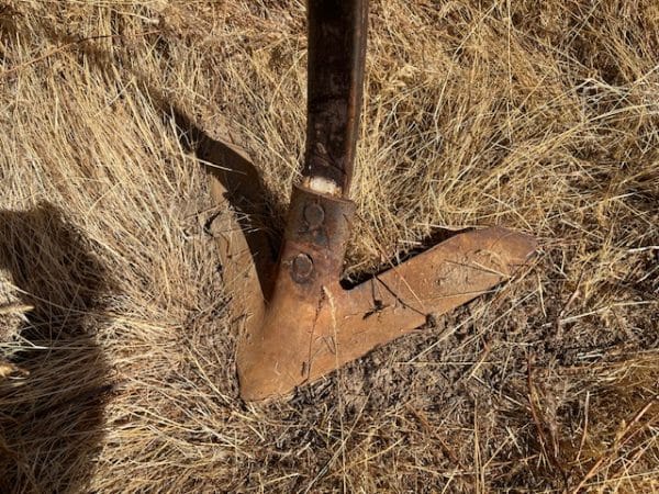 INTERNATIONAL 24' MODEL 55 CHISEL PLOW - Image 6