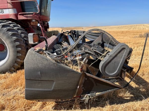 CASE IH 2388 COMBINE 2005 W/CART - Image 3