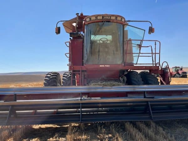 CASE IH 2388 COMBINE 2005 W/CART - Image 5