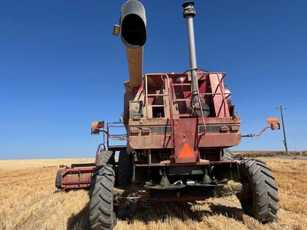 CASE IH 2388 COMBINE 2005 W/CART - Image 8