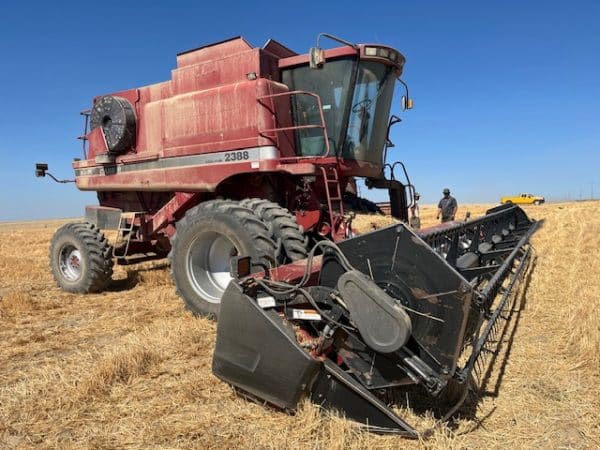 CASE IH 2388 COMBINE 2004, HILLCO